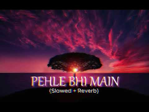 Pehle Bhi Main (Slowed + Reverb) | Vishal Mishra | Animal | Relax-LofI|  #PehleBhiMain#SlowedReverb