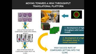 Breaking Bad with 3D The development of high throughput screening platforms to interrogate