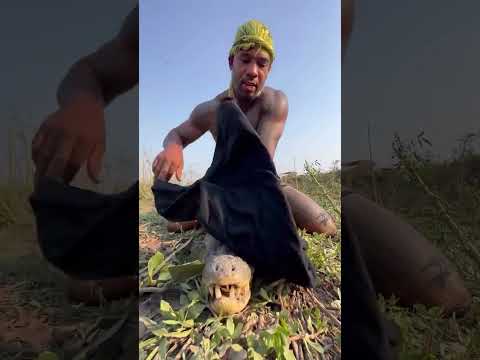 Best caption wins Rate my caiman catch 1-100 ️ #animals #kahani #animation #animalswithcameras