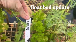 Float Bed Update: What worked, what didn’t.. roses, lemon balm & the sweetest helper 👶🏼🌱