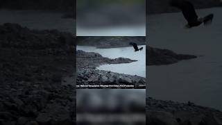 The Inspiring Journeys of Hans and Timbi: Connecting with the Natural World