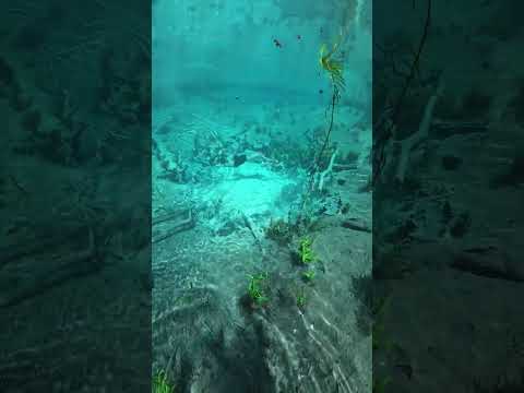 Crystal Clear Nature Pool That Feels Unreal 😍 #naturevibes #relaxingvideo #naturalspring