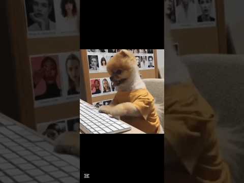 After writing 1000 lines of code… just  to get an error 🤯👨‍💻  #CodingStruggles #ProgrammerProblems