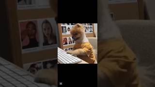 After writing 1000 lines of code… just  to get an error 🤯👨‍💻  #CodingStruggles #ProgrammerProblems