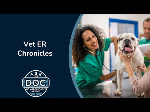 Tales from the Vet ER | Ask the Doc