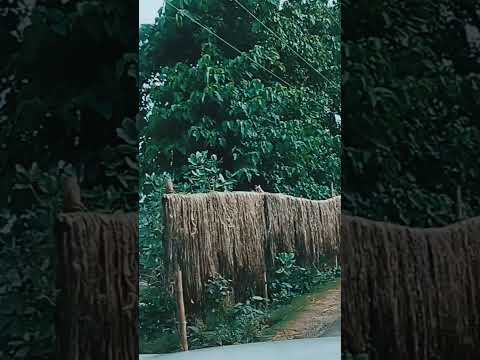 The Serenity of Village Life in the Mountains || Most Relaxing Village Experience