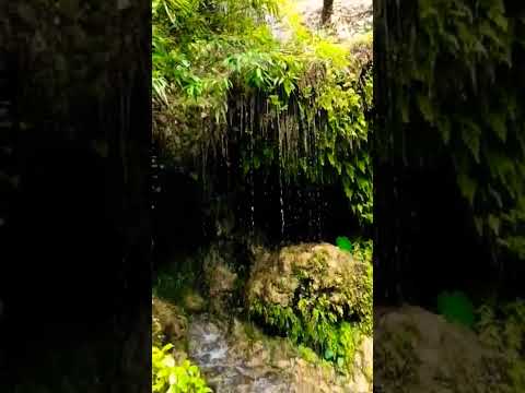 Amezing view sahastrdhara Deharadoon||namo namo shankra #youtubeviralshorts #youtubeshort #shorts