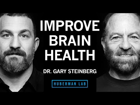 Dr. Gary Steinberg: How to Improve Brain Health & Offset Neurodegeneration