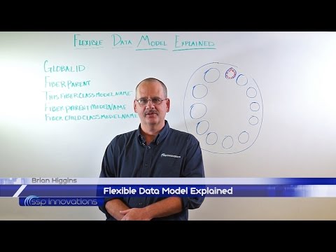 Flexible Data Model Explained
