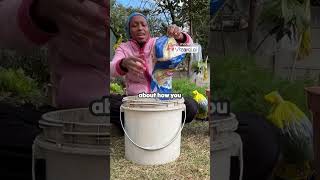 DIY Compost Made Easy even in your apartment