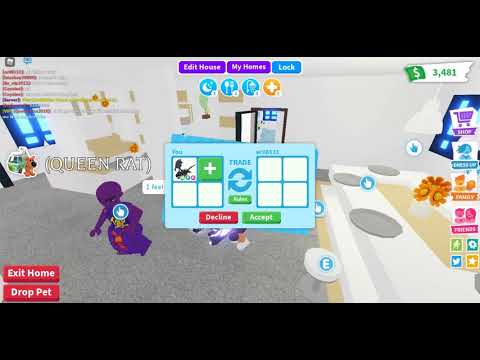 Getting scammed in adopt me/royal high (Exposing a scammer)