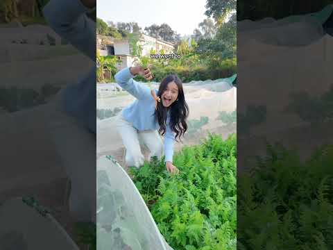 MAKING PIZZA IN A FARM IN HONG KONG 🇭🇰🌾👩🏽‍🌾😱 #hongkong #hongkongtravel #hk #hkfood #hklife