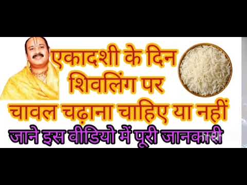 एकादशी के दिन शिवलिंग चावल चढ़ाना चाहिए या नहीं Ekadashi ke din chawal chadhana chahie ya nahi