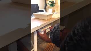 Self-Adhesive Under Desk Storage #spacesavingtips  #desksetup   #deskorganization  #deskspace