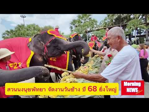 สวนนงนุชพัทยาจัดงานวันช้างไทยปี 68(13 มี.ค.68)