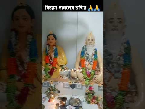 শ্রীমৎ বিচরন পাগলের মন্দির 🚩🙏 #মতুয়া #হরিবল