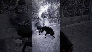 #shortsfeed #funnyshorts #shorts 👹