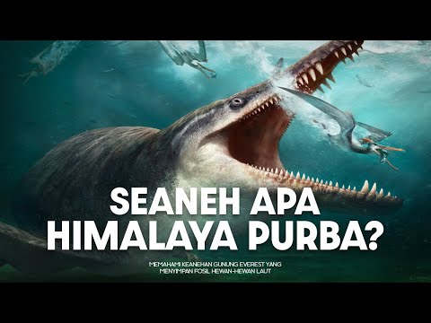 How Was This Ancient Animal Found on Mount Everest? | #LearnAncientWorld