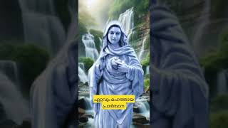 trending #soul#frdanielpoovanathil #sanoopkanjamala #Shalom #light a candle prayer#kripasanam