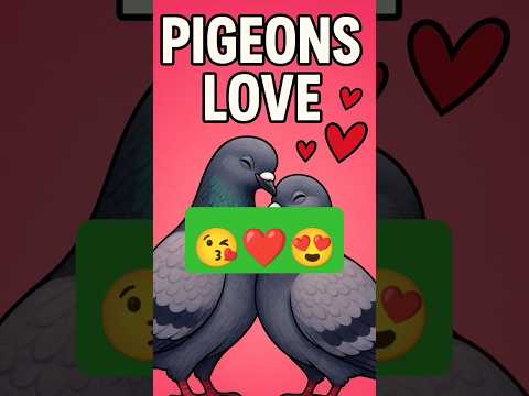 Kabutri😍Bole kabutar se😘 #ytshorts #shorts #shortsfeed #youtubeshorts #comedy #funny #love #kabutar