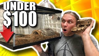 BALL PYTHON SETUP FOR UNDER $100! | BRIAN BARCZYK