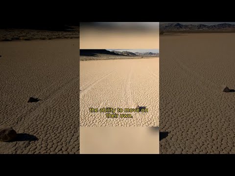 Strange Stones That Move On Their Own | Moving stones | Strange facts you never knew #shorts