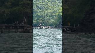 Philippine adventure #abudhabi #abudhabitrip #vlogger #travelvlogs #travelescapes #adventure