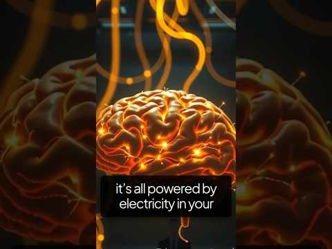 Did you know your brain actually runs on electricity? 🧠💡#brain #shorts #facts #education
