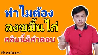 การลงขมิ้นไก่ ทำไมต้องลง ลงขมิ้นไก่ทุกวันได้มั้ย