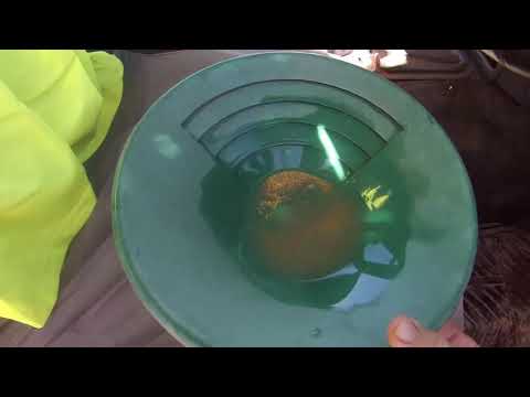 Breakdowns & Loaming for Reef Gold