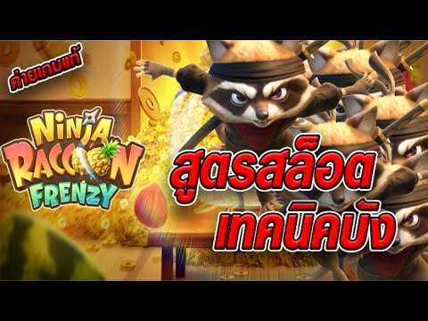 สล็อตเว็บตรง [ Ninja raccoon frenzy ] สล็อตpg สล็อตแตกง่าย สล็อตวอเลท เว็บตรง