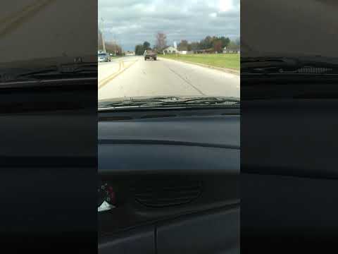 traffic truck full leaves