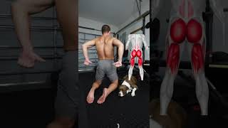 Core Exercises to Correct Low Back Pain