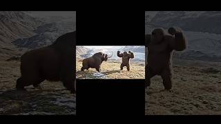 Gorilla(Gigantopithecus) vs Mammoth  #shorts #shortvideo #shortsvideo  #shortsviral #youtubeshorts