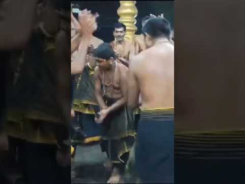 Ayyappa swamy bhajana #ayyapa #sabarimala #devotional #padipooja