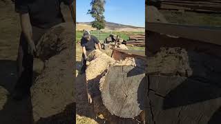 Chainsaw Man Ep 1 #shorts #chainsaw #husqvarna