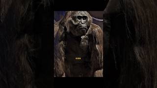 100 Men vs One Gigantopithecus 💀💀💀 #fyp #foryou #viralvideo #capcut #memes