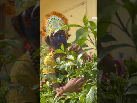 Aigiri Nandini With Lyrics || Maa Durga WhatsApp Status || Mata Rani Status Sherawali Mata