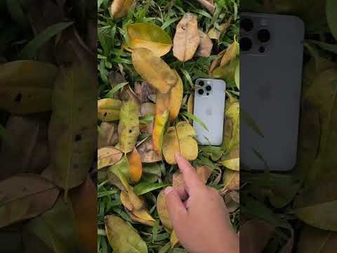 Samsung S23Ultra screen quality display technology #Samsung s23ultra #15Promax