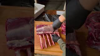 Elk Butchering #shorts