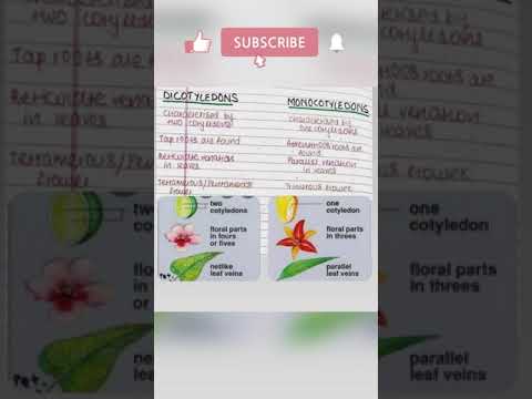 difference between dicotyledons and monocotyledons #shorts #neet #tricks #biology #knowledge #facts