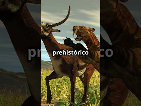 ¿QUIÉN GANARÍA? Tigre dientes de sable vs. León moderno #animales #naturaleza #batallaépica