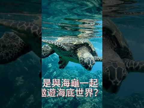 一生都要想的事