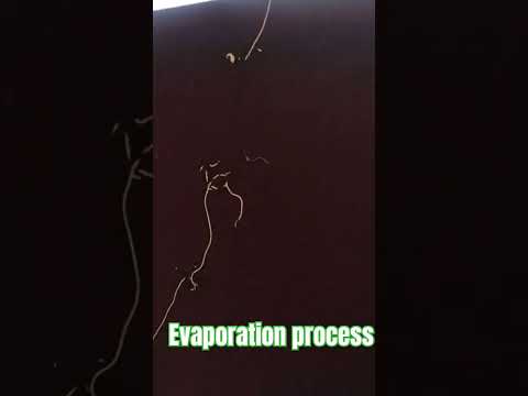 live evaporation by nature #gaamilifestyle #scienceexperiment #viralshort