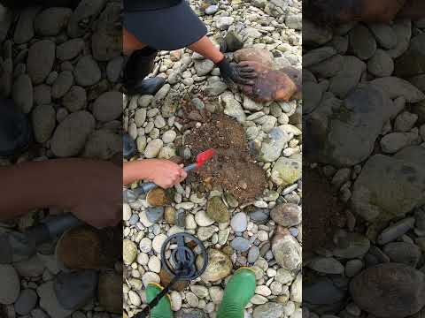 Metal Detecting in the River Made Him Rich! Incredible Finds! #gold #goldhunting