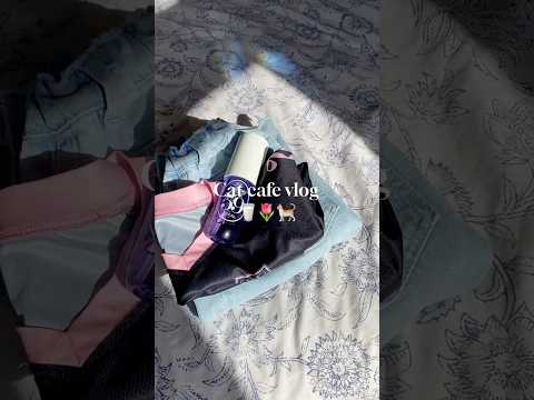 Cat cafe vlog🥛🌷🐈 #asmr #routine #viral #aesthetic #itgirl #preppy #algorithm #fyp #morning #clean