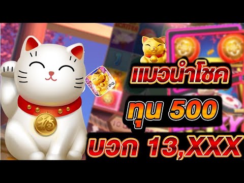 เผยความลับทำเงินล้านจากเกม เเมวนำโชค สล็อตมาแรง?