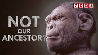 The Discovery That Rewrites Human Evolution