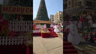 Big & Beautiful Christmas 🎄 Tree near Orlem Church Malad West