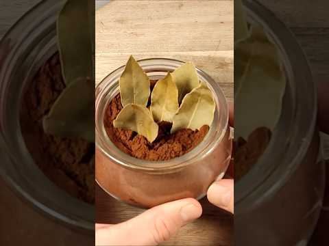 Stick the bay leaf into the coffee grounds. DON'T WAIT!